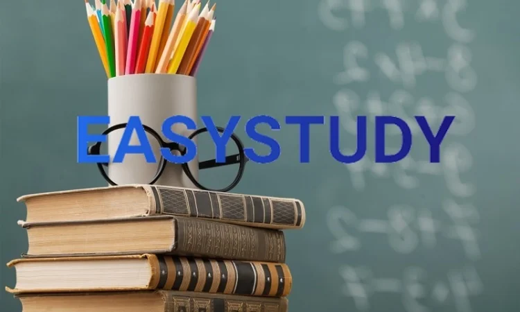 Заказать написание докторской диссертации - фото № 1