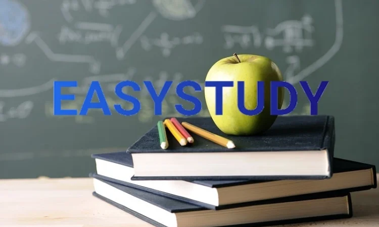 Написание магистерских работ на заказ - фото № 1