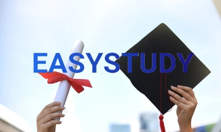 Написание бакалаврской работы с гарантией качества - фото № 1