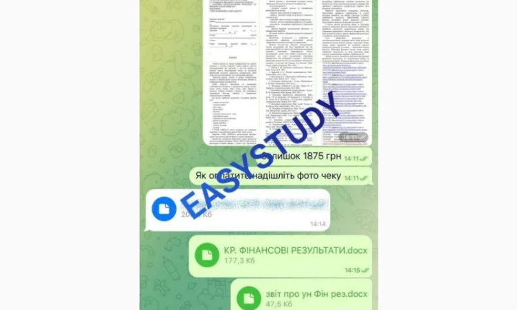 Написання есе на замовлення - фото № 7