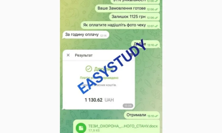 Услуги по написанию тезисов для получения научной степени - фото № 8