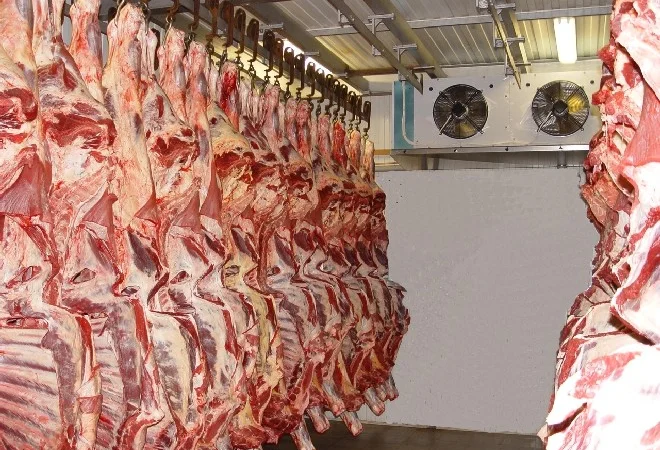 Морозильна камера: підбір та послуги - фото № 7