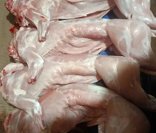 Продается диетическое мясо кролика - фото № 1