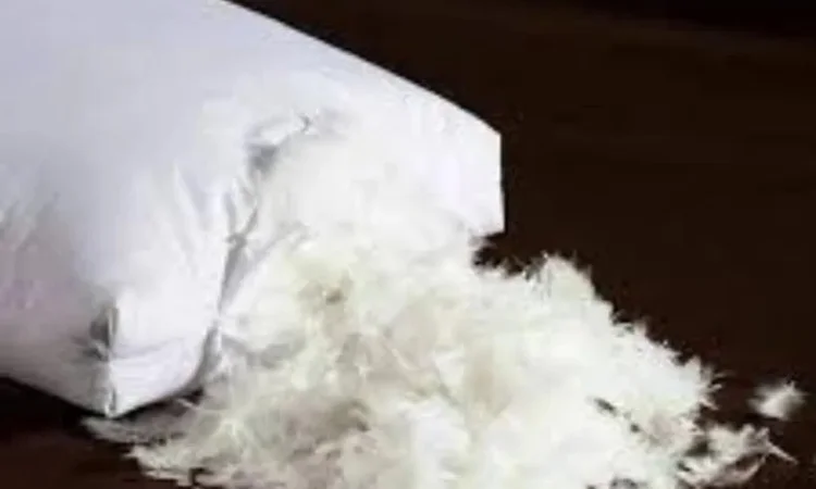 Закупка пуха и пера: старые подушки, выезд по адресу - фото № 1