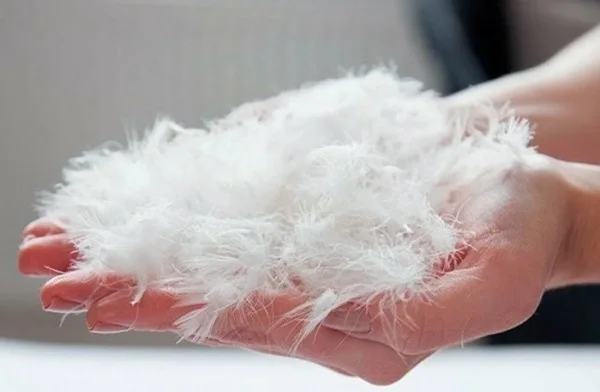 Покупка пуха и перьев с выездом в Сумы - фото № 1