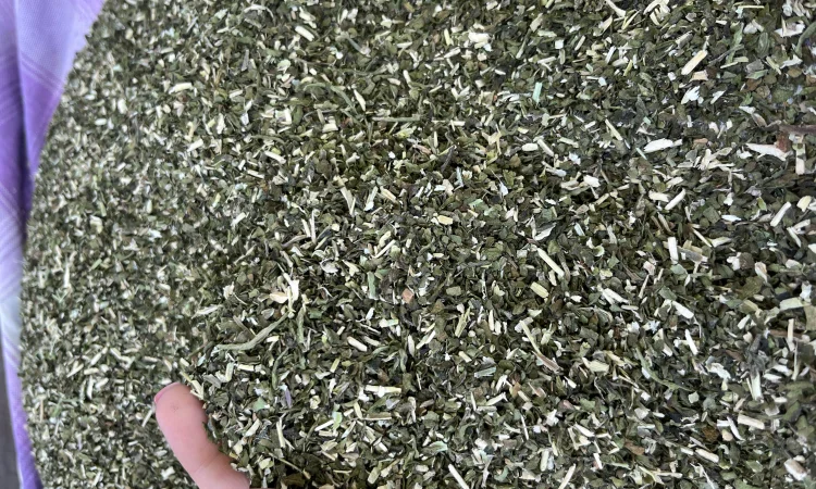 Продам махорку - фото № 1