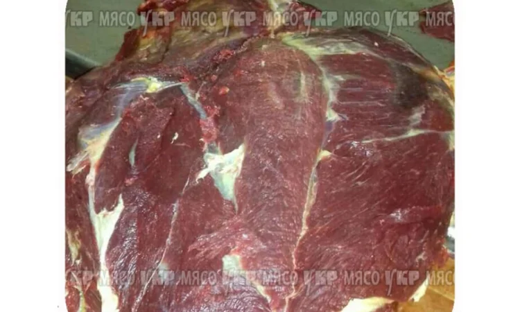 Задняя часть конины охлажденная - фото № 1