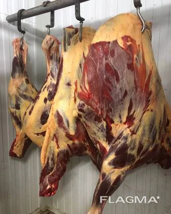 Конина полутуши и мякоть - фото № 1