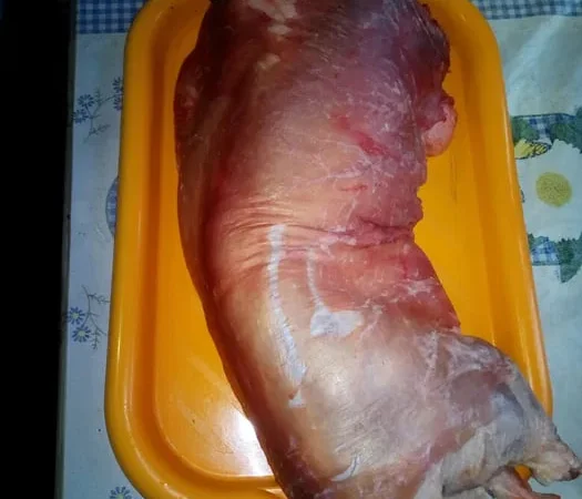 Продам мясо нутрии - фото № 1