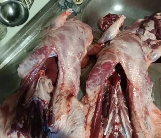 Продам мясо нутрии молодое, натуральное - фото № 1