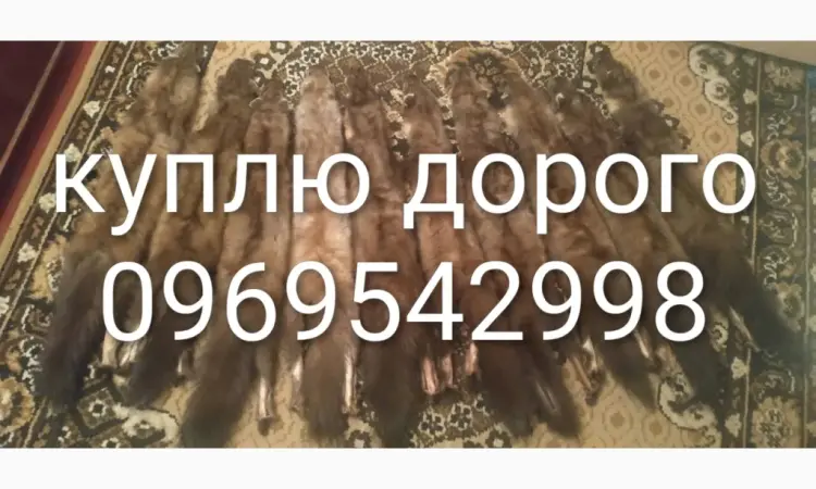 Принимаю шкуры из куницы лиса - фото № 1