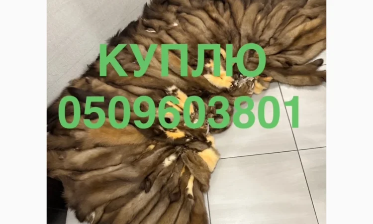 Куплю шкури по выгодным ценам - фото № 1