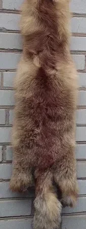 Продается мех лисицы - фото № 8
