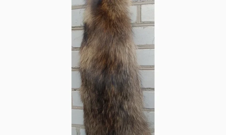 Продается мех лисицы - фото № 5