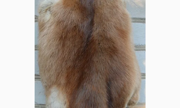 Продается мех лисицы - фото № 11