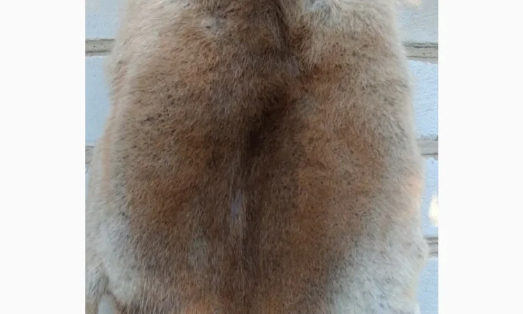 Продается мех лисицы - фото № 2