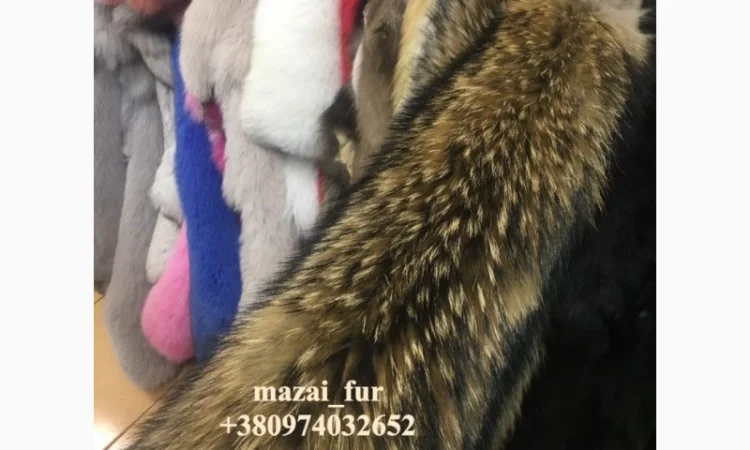 Зимні шкури єнота у продажу - фото № 2