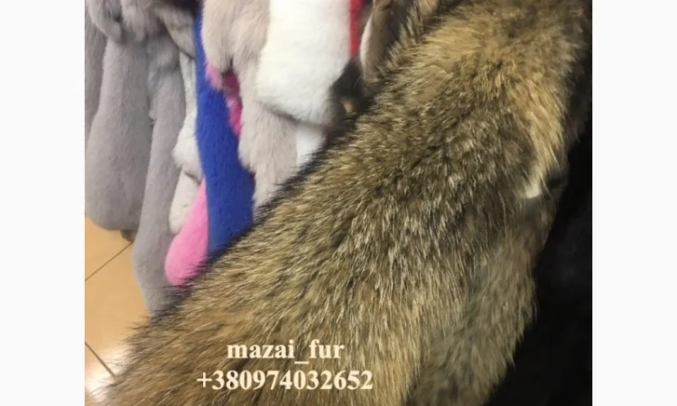 Зимні шкури єнота у продажу - фото № 3