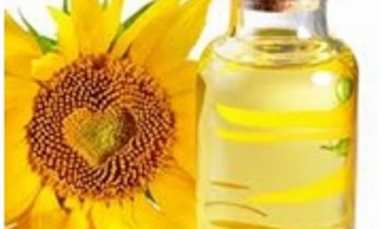 Куплю фуз соняшниковий в Николаеве. От 3 тонн - фото № 1