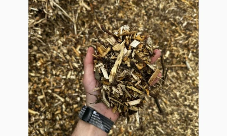 Щіпа з хвойних та листяних порід дерев - фото № 4