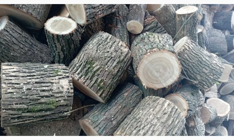 Колотые дрова дуба, ясеня и акации в продаже - фото № 3