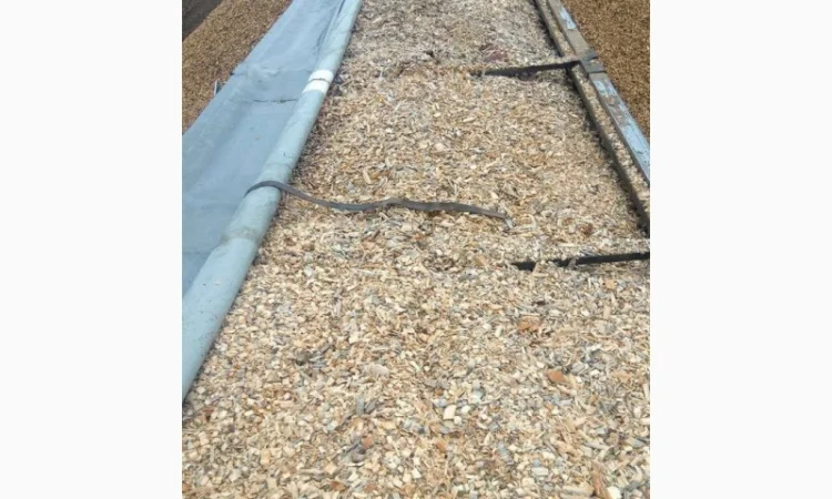 Щепа дерев'яна соснова, фракція 40+ - фото № 1