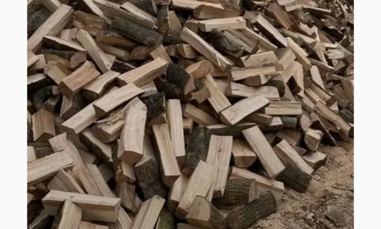 Качественные дрова дуб для обогрева - фото № 1