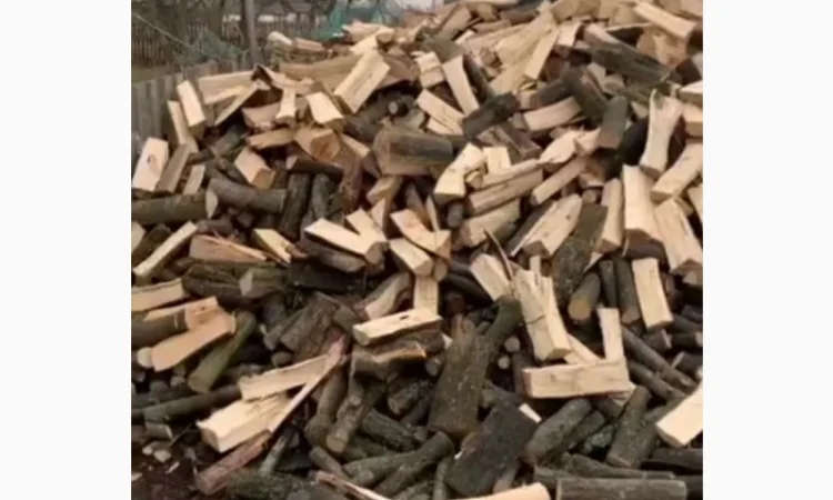 Купить дубовые дрова недорого в Луцке – быстро и удобно - фото № 1