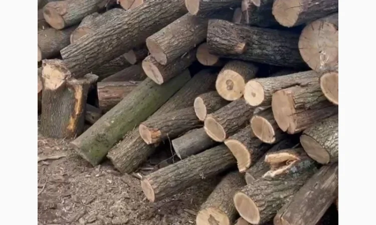 Дрова у Луцьку – продаж та доставка якісних дров - фото № 1