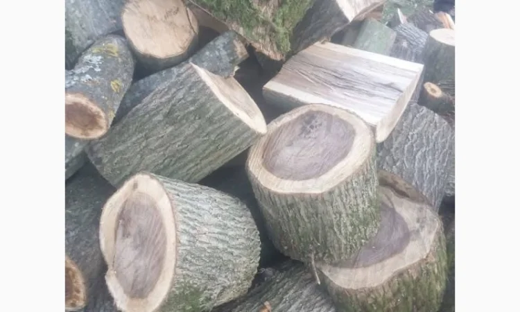 Дубовые дрова с доставкой в Луцк и Луцкий район - фото № 1