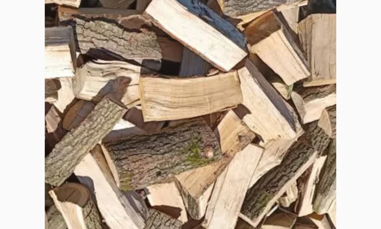 Дрова из Рожище – быстрая доставка по Волынской области - фото № 1