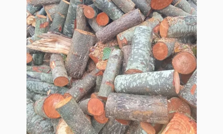 Продажа дров вольха в Киверцах - фото № 1