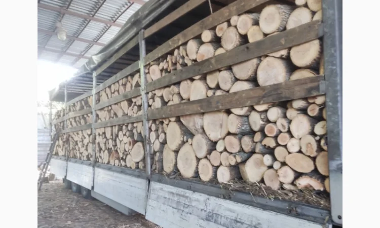 Куплю дрова твердых пород с доставкой - фото № 1