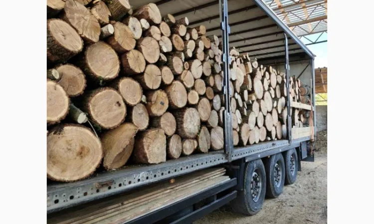 Продажа дров: дуб, береза, сосна - фото № 4