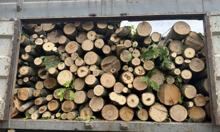 Пропонуємо дрова твердих порід - фото № 2