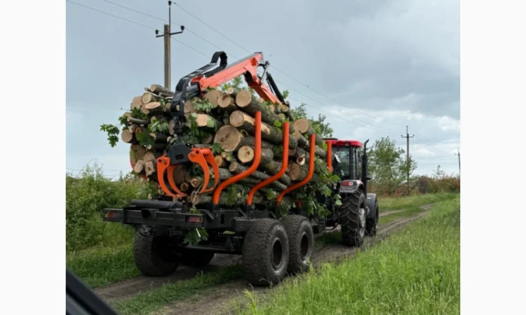 Пропонуємо дрова твердих порід - фото № 3