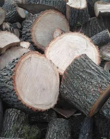 Продаются колотые дрова в Пустомытях - фото № 4