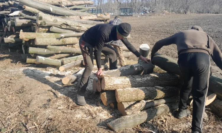 Дрова дубові метрові та колоті у продажу - фото № 1