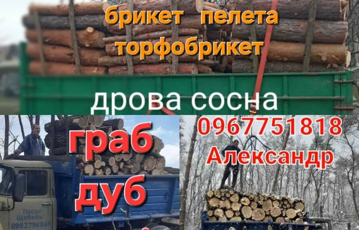 Дрова, брикеты и уголь в продаже - фото № 1