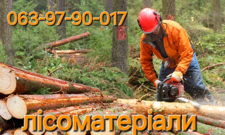 Дрова, брикеты и уголь в продаже - фото № 7