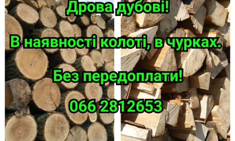 Продам дрова дубові - фото № 1
