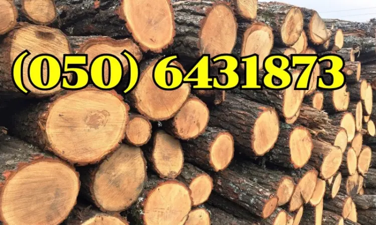 Продам дрова дубовые колотые и в чурках - фото № 1