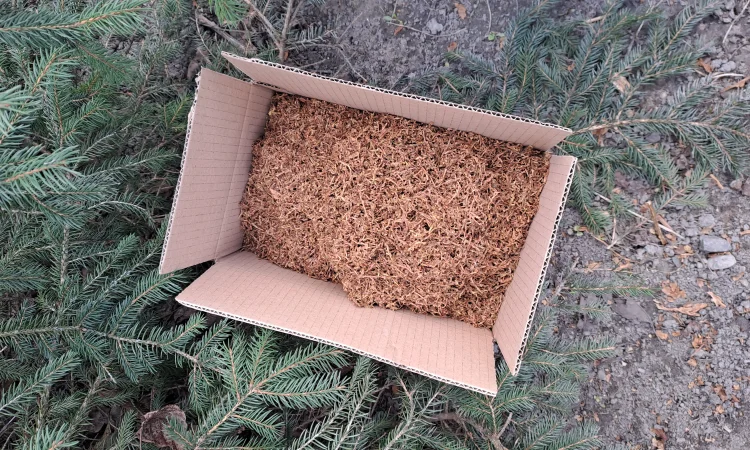 Тютюн - фото № 3