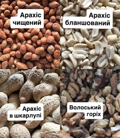 Продаж горіхів ( фундук, фісташки ) сухофруктів - фото № 3