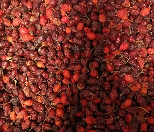 Шиповник сушеный - продажа качественных плодов - фото № 1