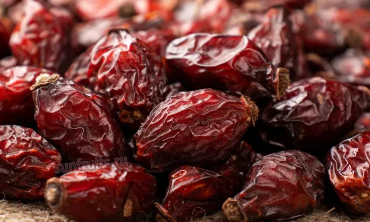 Сушеная шипшина - полезные плоды шиповника - фото № 1