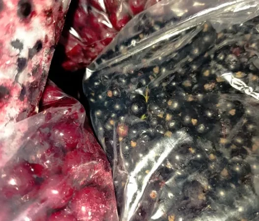 Продам смородину замороженную - фото № 1