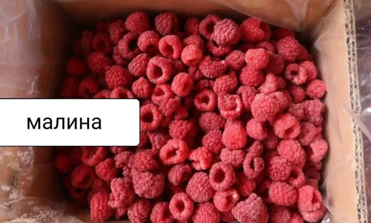 Вишня без косточки Клюква, малина, голубика, клубн. - фото № 3