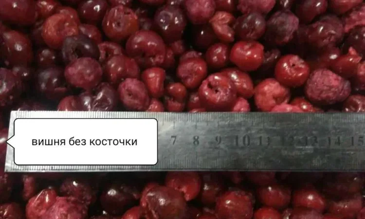 Вишня без косточки Клюква, малина, голубика, клубн. - фото № 2