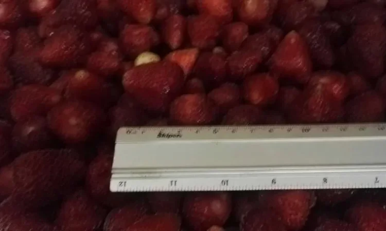 Клубника замороженная - фото № 1